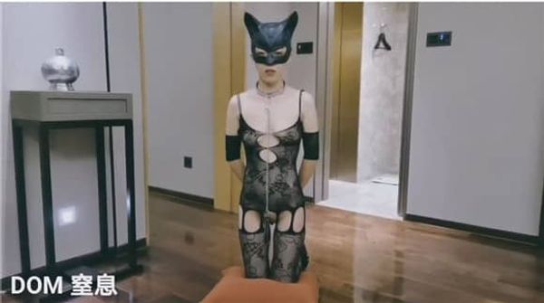 推特大神DOM-窒息高质量出品 天生母狗sub犬化全过程 骚气放荡双洞被插满乖巧的给主人吃精